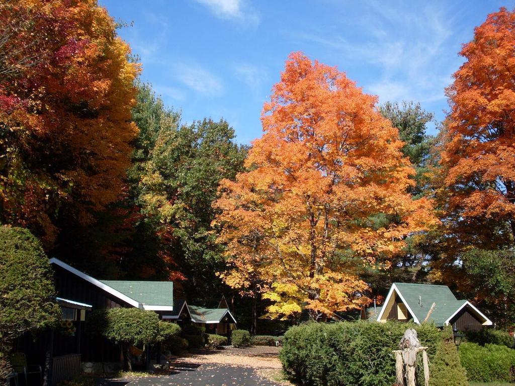Amber Lantern Two-Bedroom Cottage Lake George Oda fotoğraf